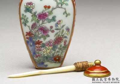 图片[3]-Porcelain snuff bottle with floral decoration in famille rose, Qing dynasty, Jiaqing reign (1796-1820)-China Archive